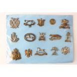 Cap Badges on a blue card - Yeomanry and Cavalry badges. (15)