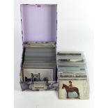 Eclectic Mix of Postcards: A photobox containing a large assortment of postcards. This eclectic