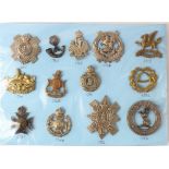 Cap Badges on a blue card - Territorial Force all with K&K numbers. (13)
