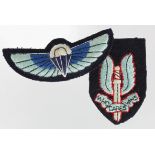 Cloth Badges: S.A.S. Other Rank’s Beret badge and S.A.S. Parachute & Wings badge both from the