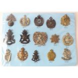 Cap Badges on a blue card - London Regiments all with K&K numbers. (15)