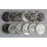 Canada Silver one ounce maple leafs (12). Mixed dates GEF - Unc in hard plastic capsules