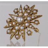 9ct yellow gold pearl set starburst brooch, weight 5.1g