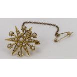 9ct small pearl set starburst brooch with safety chain, weight 5.3g