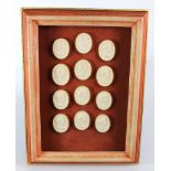 Grand Tour interest. A collection of twelve Grand Tour intaglio plaster plaques, circa 19th Century,