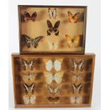 Entomology interest. Two glass fronted cases containing nineteen specimens of butterflies, largest