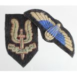 Badges an SAS Beret badge and jump wings