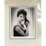 Brigitte Bardot, 12 x 17" photograph, head & shoulders portrait, taken from the original negative,