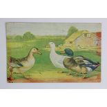 Louis Wain ducks postcard - Alphalsa, postally used Ryde 1929.