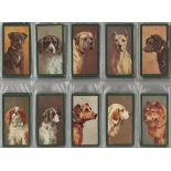 Taddy - Dogs part set 32/50 in pages, G - VG cat value £1120