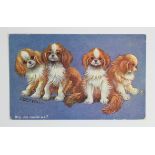 Louis Wain dogs postcard - Tuck: Will she choose me?