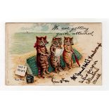 Louis Wain cats postcard - Tuck: We are getting quite attached, postally used Scarborough 1904.