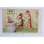 Louis Wain dogs postcard - Faulkner: The Mirror of Fashion.