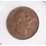 Halfpenny 1837, 7 over a larger 7, slabbed CGS EF 78 (system later designated 78 as AU), CGS variety