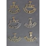 Badges 6x T titles inc 3x RAMC examples, all lugs present.