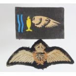 RAF interest a mini RAF Pilots wing for foreign Pilots who had served with the RAF, service wear and