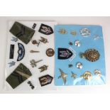 Special Forces selection of badges, metal and cloth, mounted on two boards. (29 items)