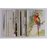 Birds, mixed selection, artist drawn, adverts, R/P's, etc (17)