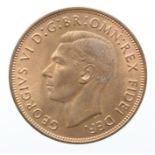 Penny 1951 near BU