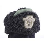German Nazi Police winter hat. Maker stamped 'Carl Halfar Berlin N 20'.