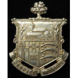 Badge, Stoke Newington, original V.T.C. unmarked silver badge shows pre 1934 Borough Arms - pin