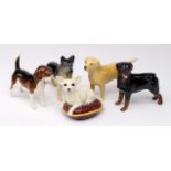 Beswick. A collection of five beswick dogs, including Chihuahua, German Shepherd, Rottweiler,