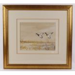 Watercolour heightened with gouache, depicting a pair of Mallard ducks taking flight, signed to