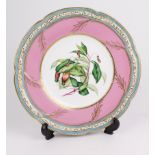 Mid 19th Century plate possibly by Worcester. pink and blue with gilt decoration and central