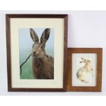 Brown Hares.The first a framed close-up photograph of a brown hare titled 'Sniff' and taken by