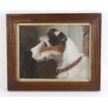 Terrier interest. Oil on board, depicting a terrier dog, circa 19th Century, unsigned, mounted,