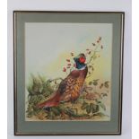 David Kerr (1951) Watercolour study of a Pheasant standing by rose hips and young bird.Mounted and