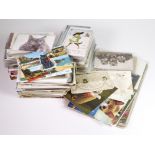 Cats, mixed original collection housed in pages & loose in tray   (approx 650 cards)