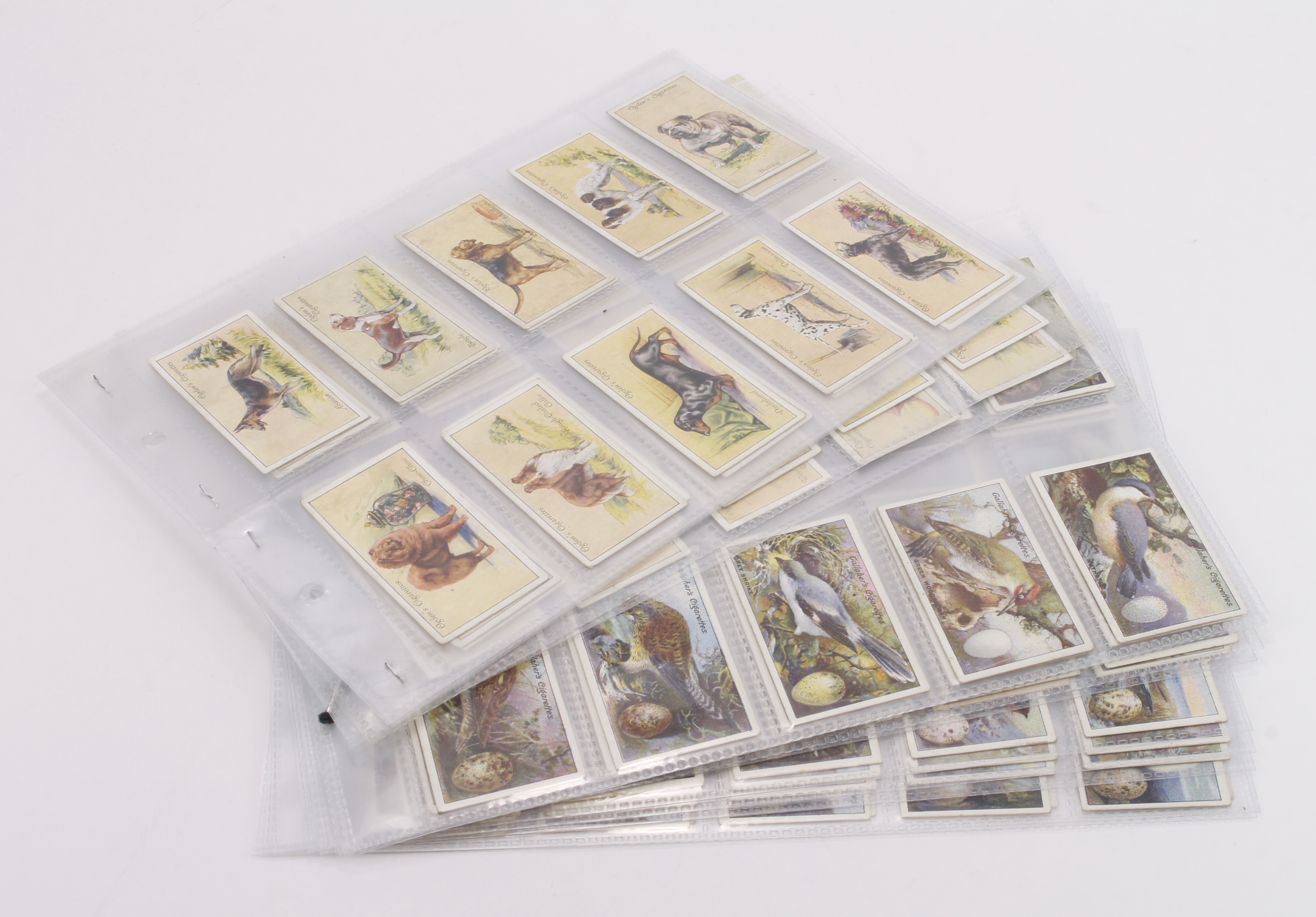 Complete sets in pages, Gallaher - Birds, Nests & Eggs G - VG, and Ogden - Dogs, G, cat value £305