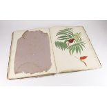 Album containing approximately twenty-seven pencil & watercolour illustrations of flowers &