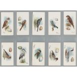 Edwards Ringer & Bigg - Birds & Eggs - part set 40/50 in pages, mainly VG or better, cat value £680