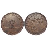Australian 19thC Penny Token: (Stokes) 'Advance Australia', Victoria 1862, GVF, tiny edge nick.