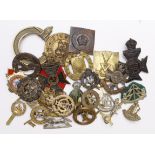 Cap badges - various mixed cap badges, collars, several damaged. (approx 26 items)