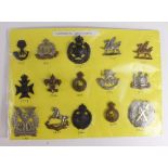 Cap Badges - yellow card with Territorial Cap badges, with K&K numbers. (15)