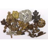Cap badges, various mixed selection of old badges/collars. (18)