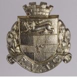 Badge: R.V.T.C. - Rochester Volunteer Training Corps (KK 1630) WW1 Volunteer Force 1914-1919 in