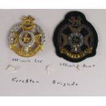 Badges - Forester Brigade, officers cap badge and officers beret badge. (2)