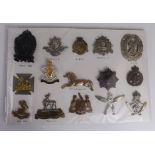 Cap badges - various range on white card inc 5x Rifle Vols, 3x Units Raised, Officers Cavalry,