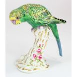 Royal Worcester budgerigar (no. 2664), height 12cm approx.