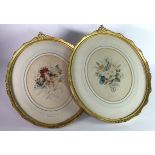 A pair of eighteenth century botanical sudy watercolours (possibly Wales 1700?) both in their