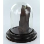 Victorian turned wood pocket watch holder with glass dome, approx 12cm tall