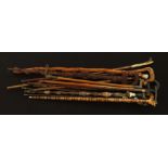 Walking sticks & canes. A collection of fifteen walking sticks & canes, including one with a