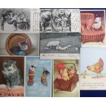 Postcards, a collection of 40+ animal related cards inc. birds, cats, (26), Bonzo (1), zoo, comic