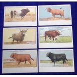 Trade cards, Liebig, Postcards, Types of Lemco Cattle (set, 6 cards) (all unused, gen gd) (6)