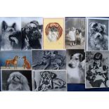 Postcards, Dogs, a collection of approx. 65 cards inc. RP's, artist-drawn etc, early 1900-1960's, UK
