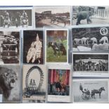 Postcards, a selection of approx. 60 cards relating to Entertainment, a few RP's but mainly printed,